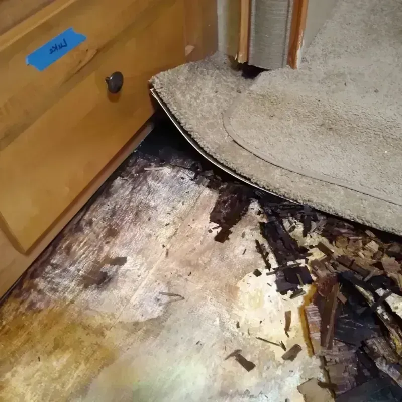 Wood Floor Water Damage in Somerville, NJ